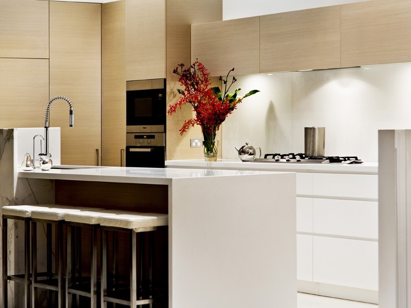 contemporary style kitchen