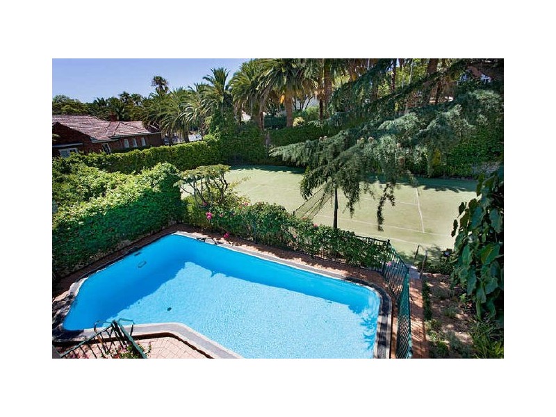 modern garden style landscape