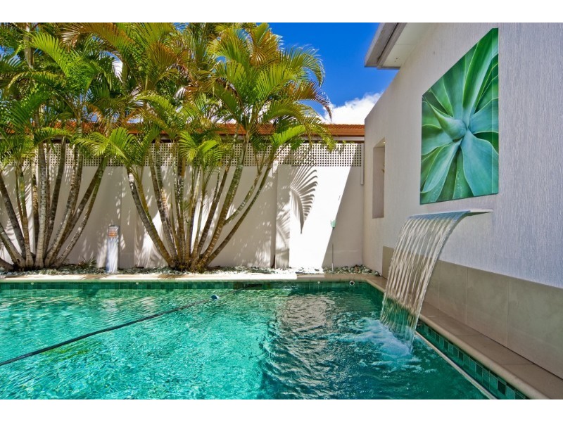 swimming pool landscapes style landscape